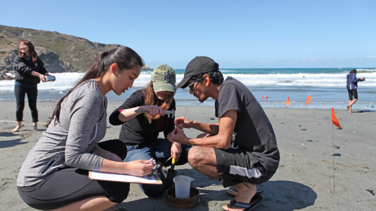 USC Dornsife students kneeling on a beach conduct marine research through the USC Wrigley Institute located on Catalina Island.