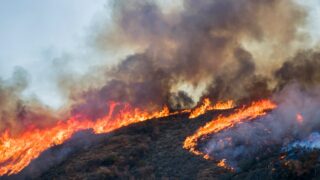 Brutal heatwave sparks wildfires across California