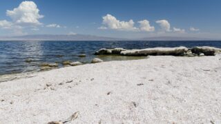 Salton Sea