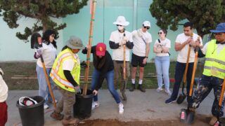 USC Urban Trees Initiative expands green spaces in South Los Angeles neighborhoods