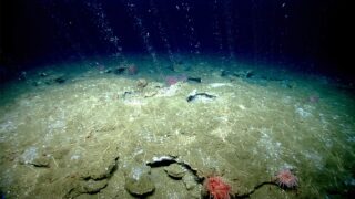 Methane bubbles